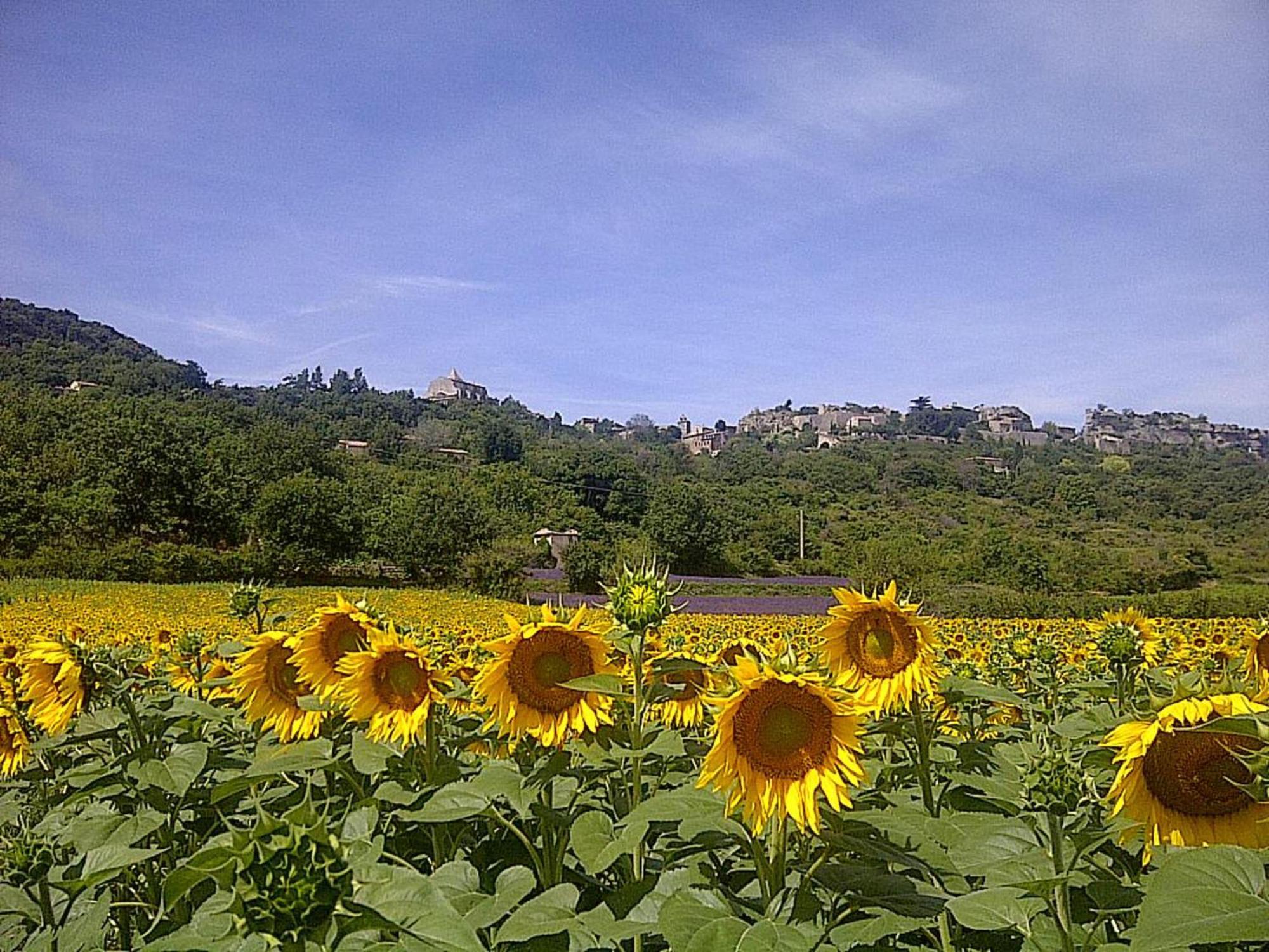 Villa Bellegarde Saignon Exterior photo